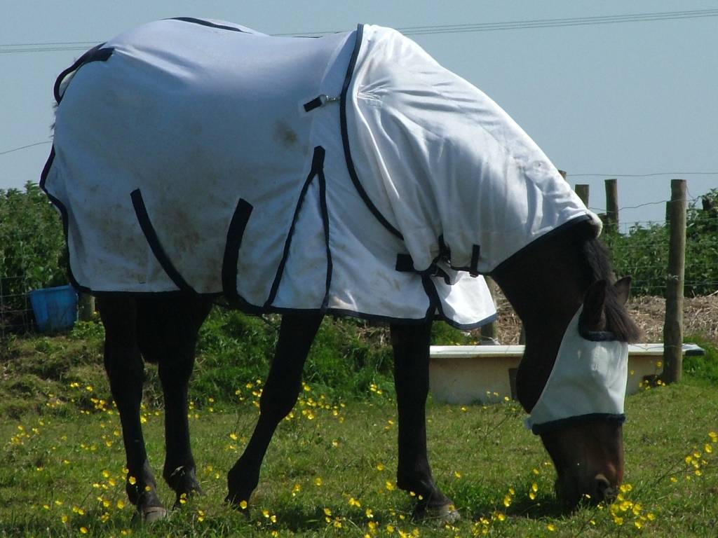 Click now to see this image full size.