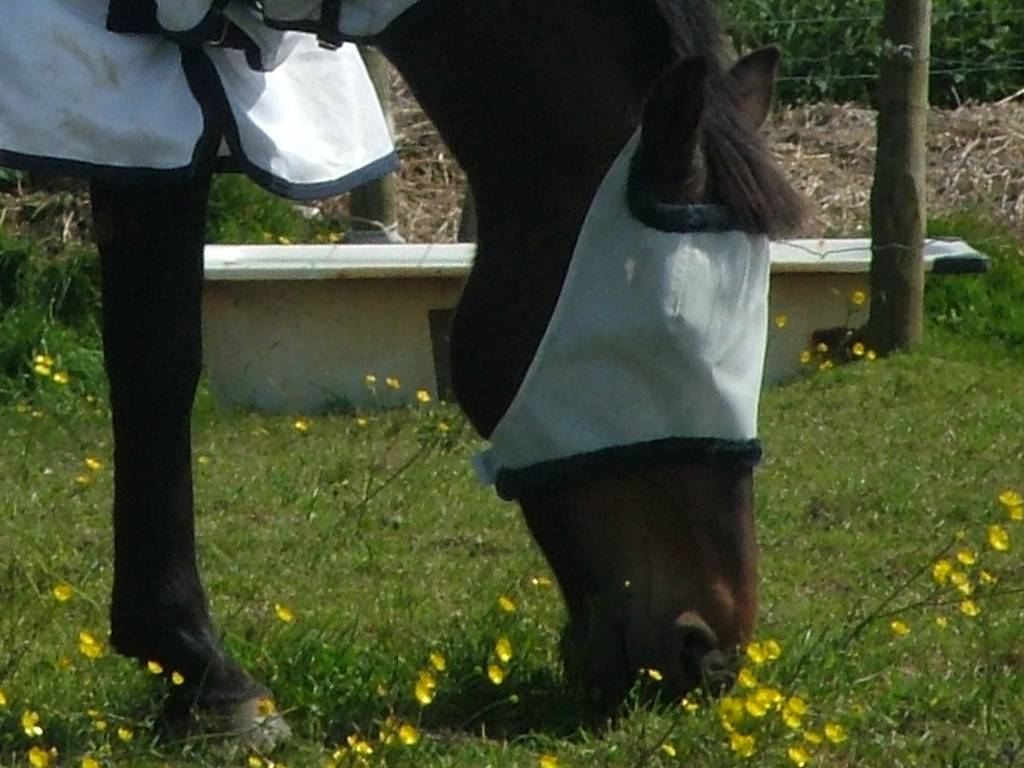 Click now to see this image full size.