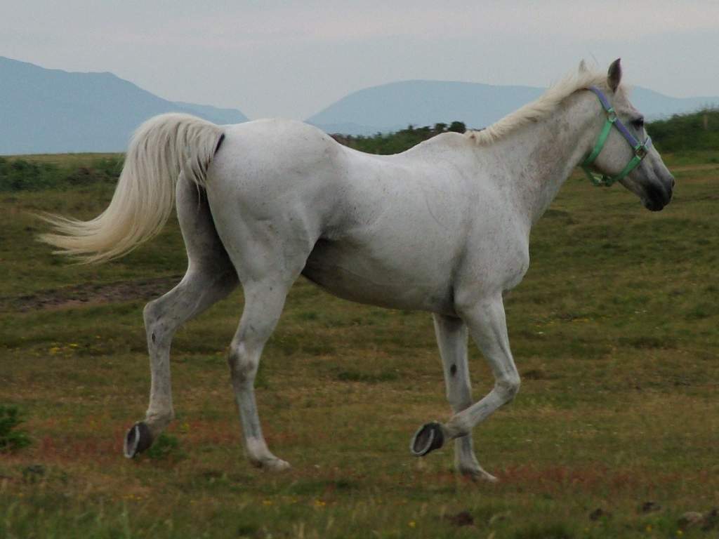 Click now to see this image full size.