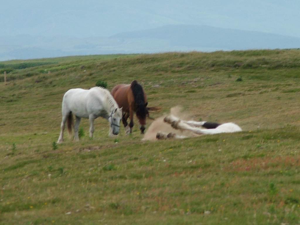 Click now to see this image full size.