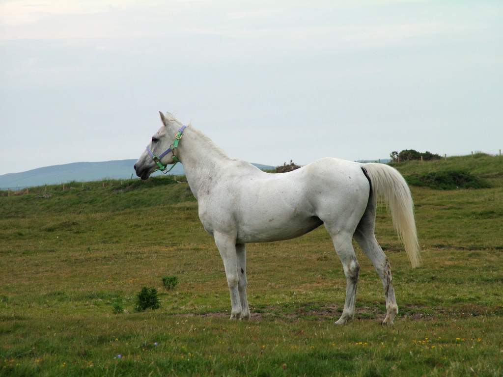 Click now to see this image full size.