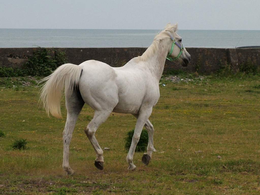 Click now to see this image full size.