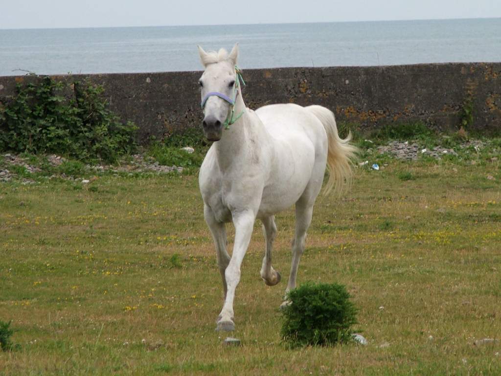 Click now to see this image full size.