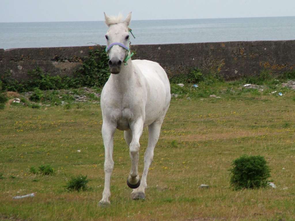 Click now to see this image full size.