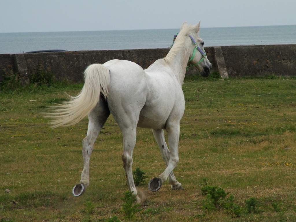 Click now to see this image full size.