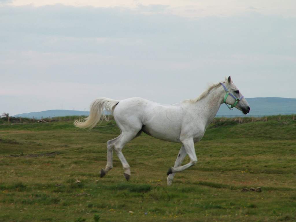 Click now to see this image full size.