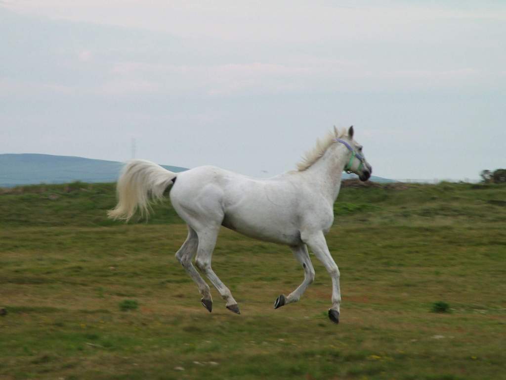 Click now to see this image full size.