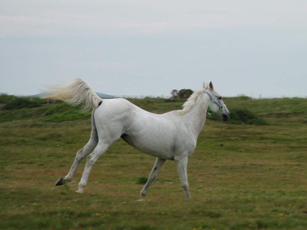 Click now to see this image full size.