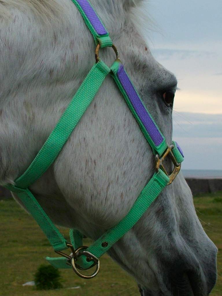 Click now to see this image full size.