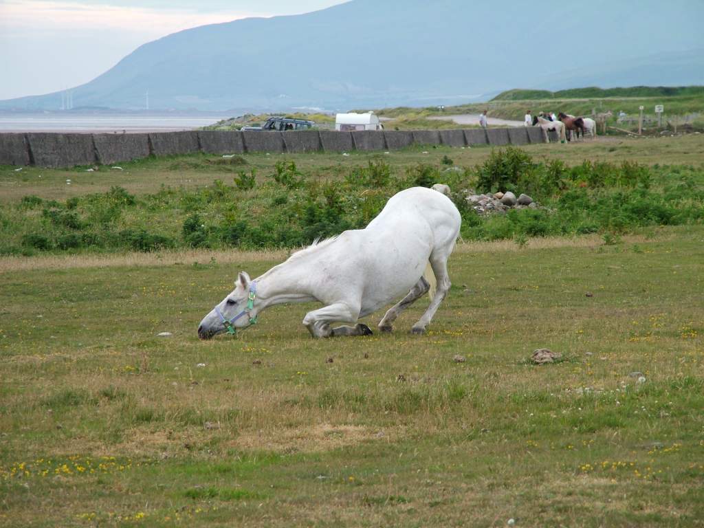 Click now to see this image full size.