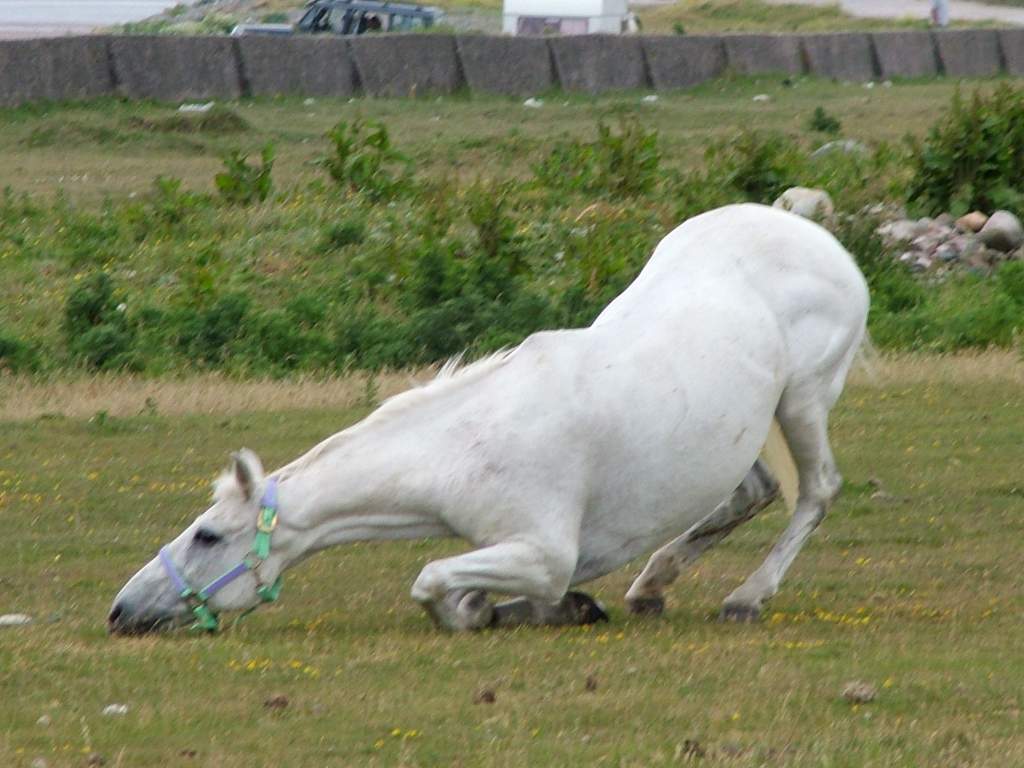 Click now to see this image full size.