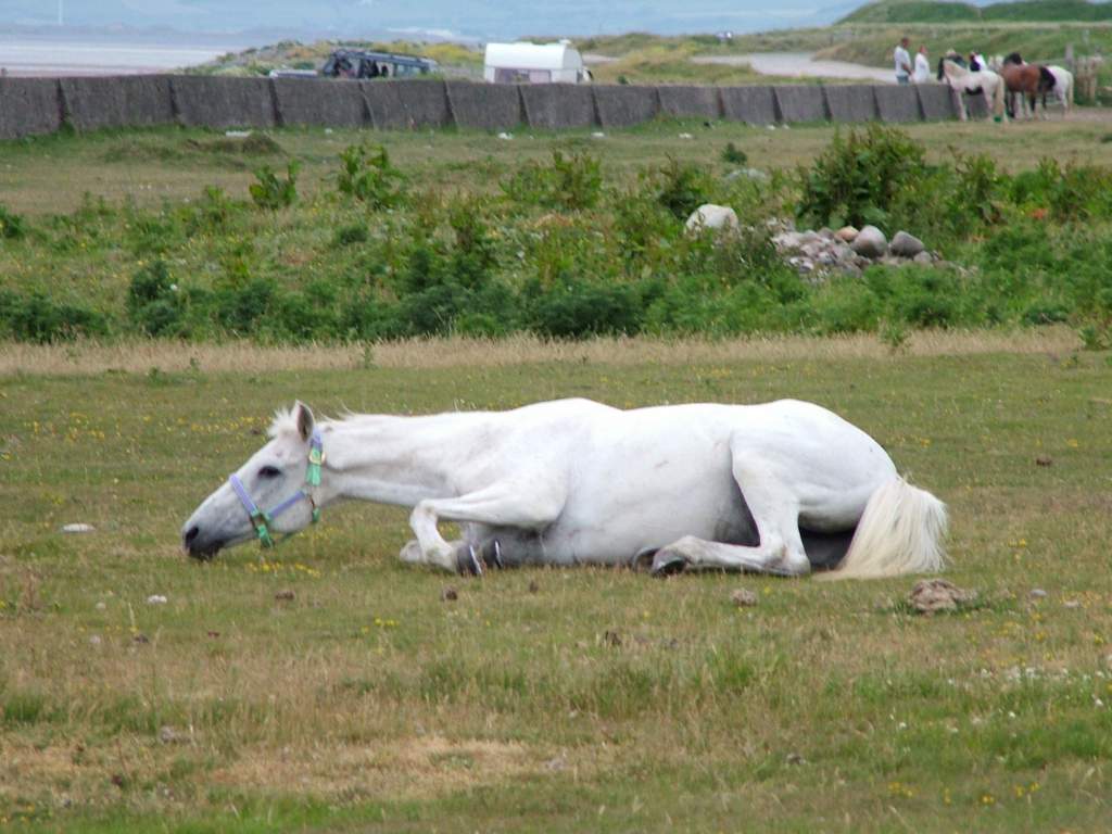 Click now to see this image full size.