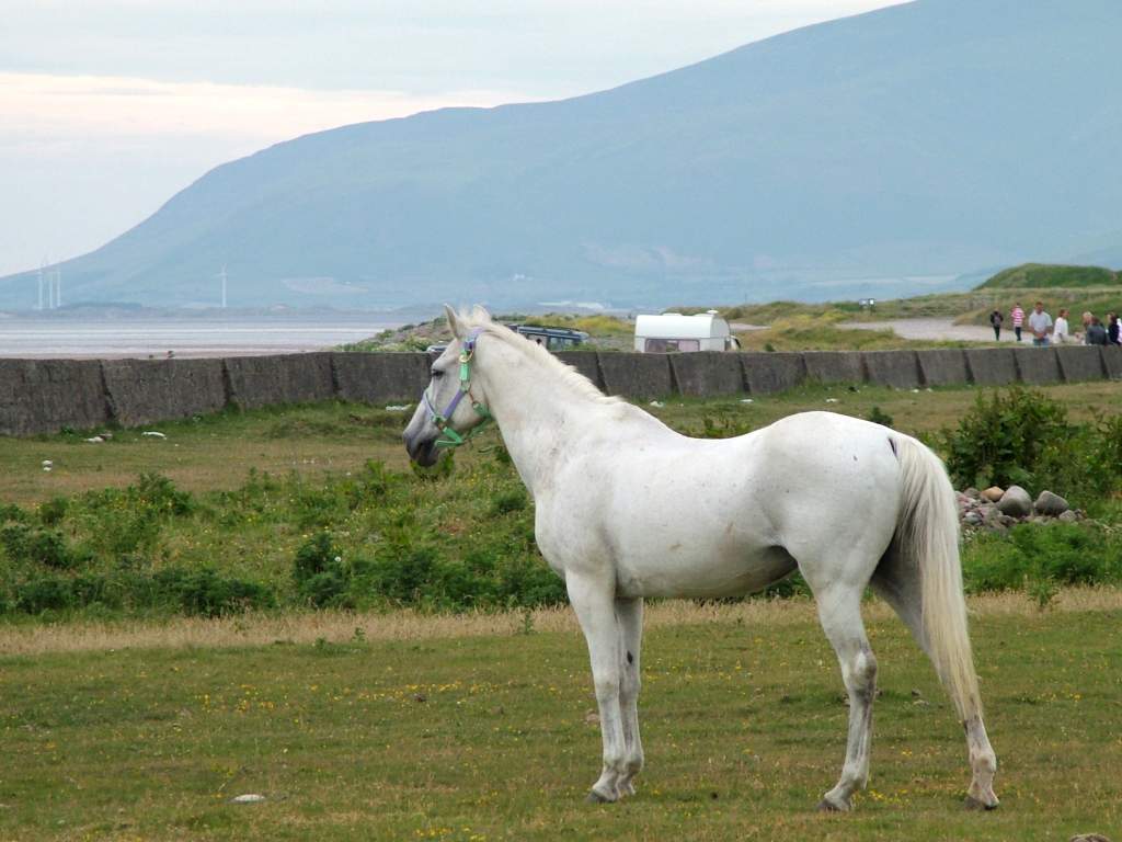 Click now to see this image full size.