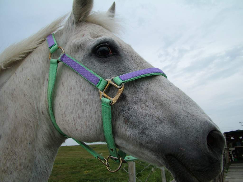 Click now to see this image full size.