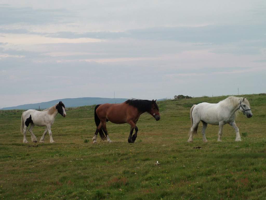 Click now to see this image full size.