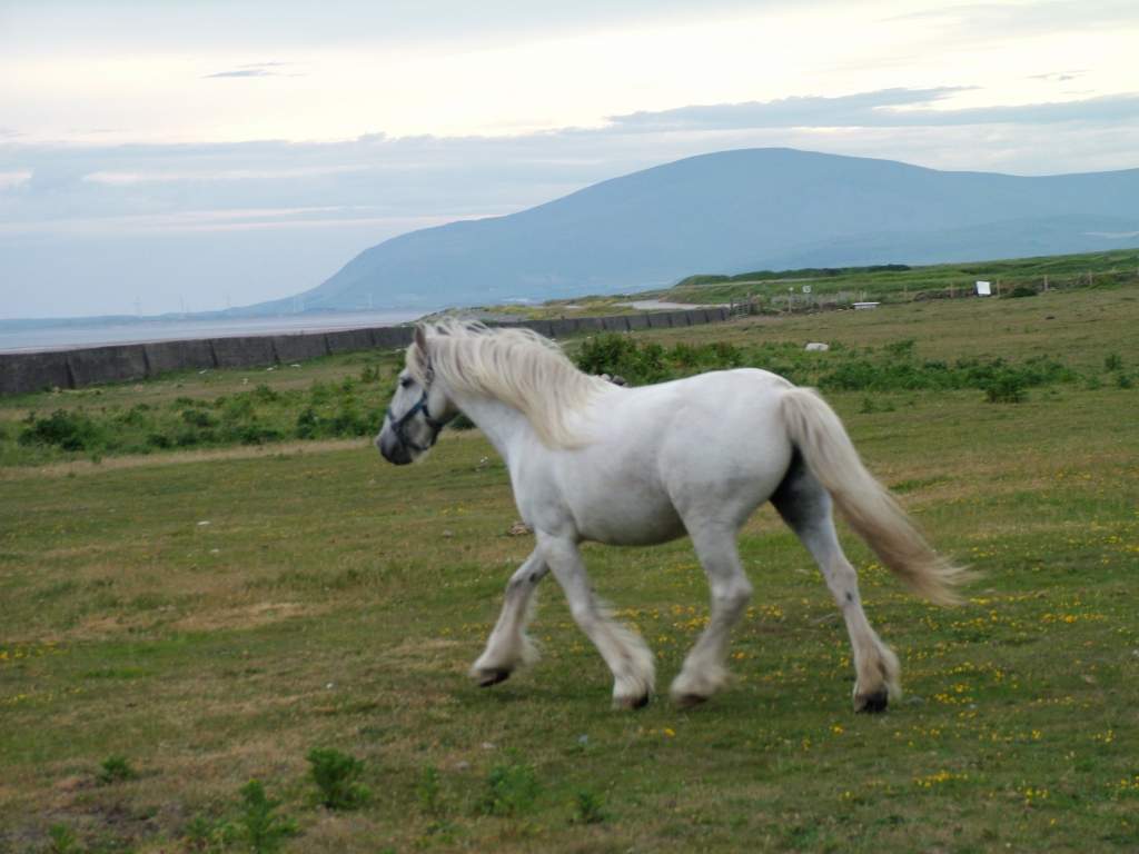 Click now to see this image full size.