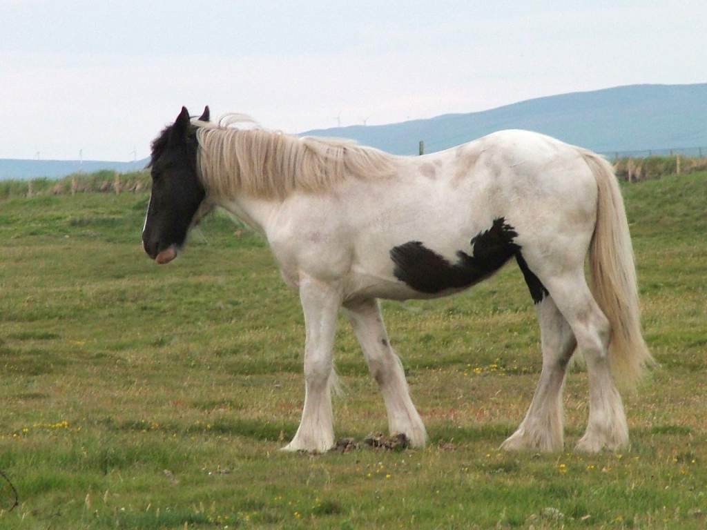 Click now to see this image full size.