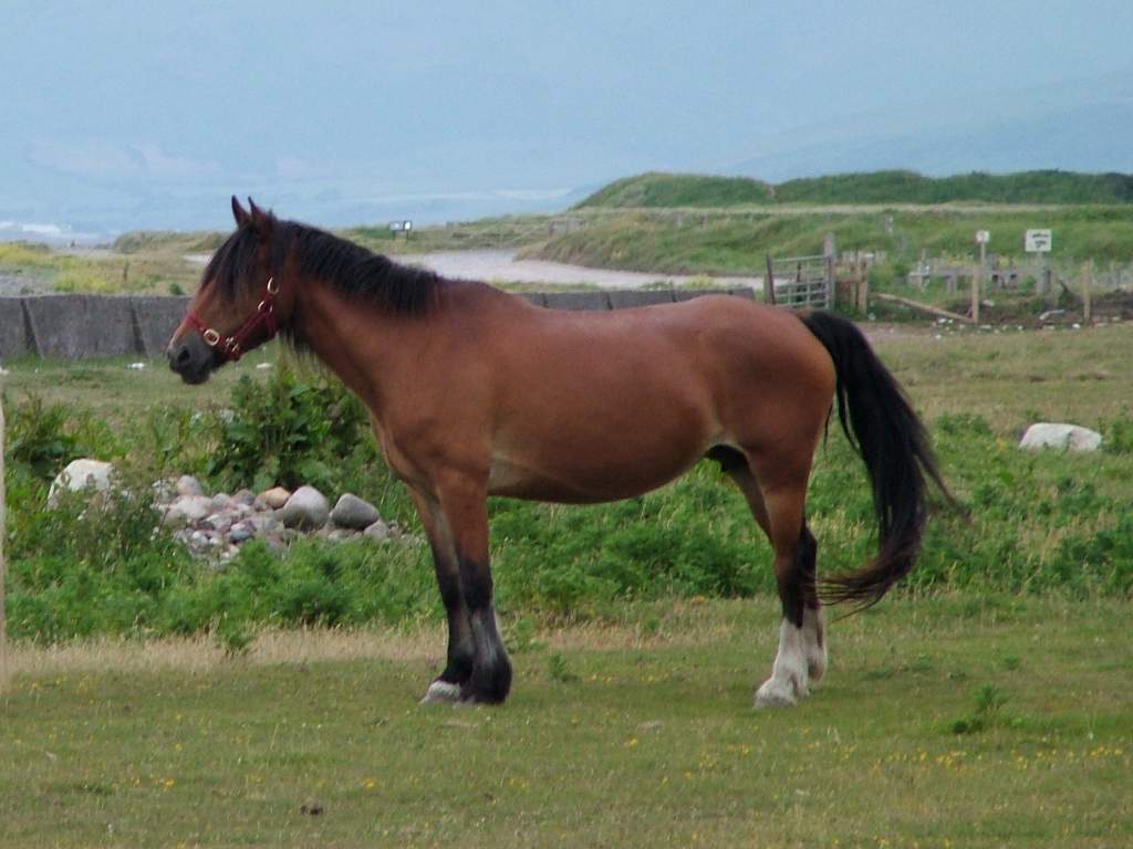 Click now to see this image full size.