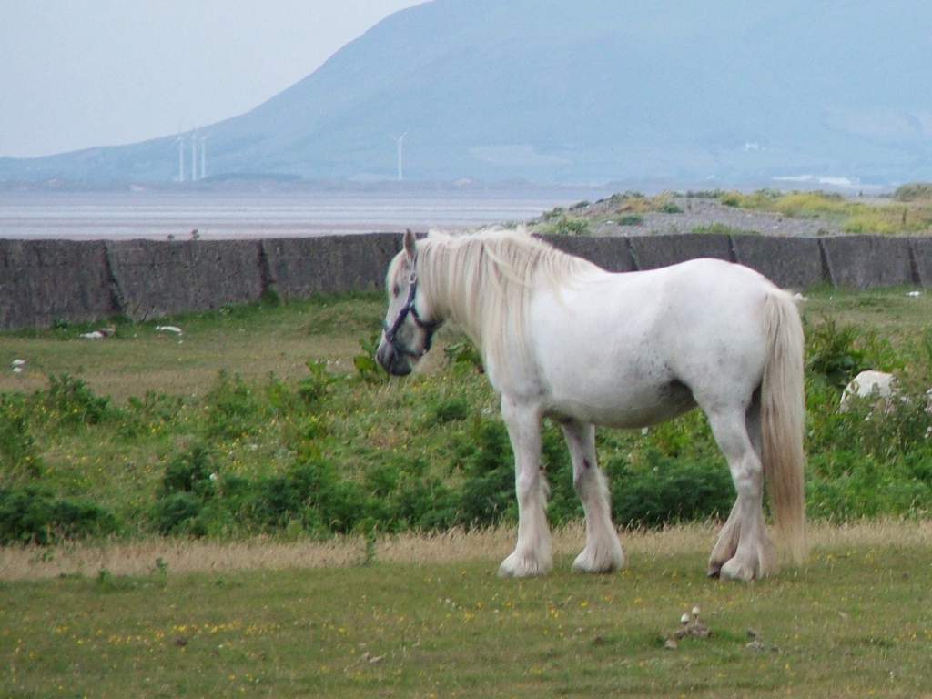 Click now to see this image full size.