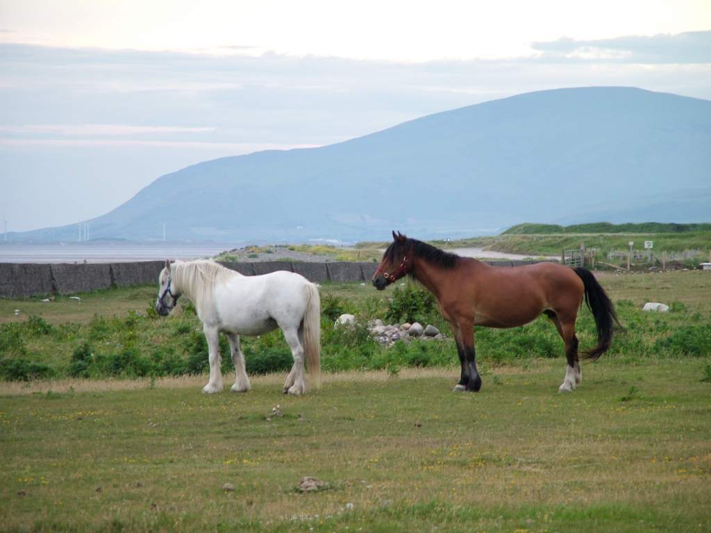 Click now to see this image full size.