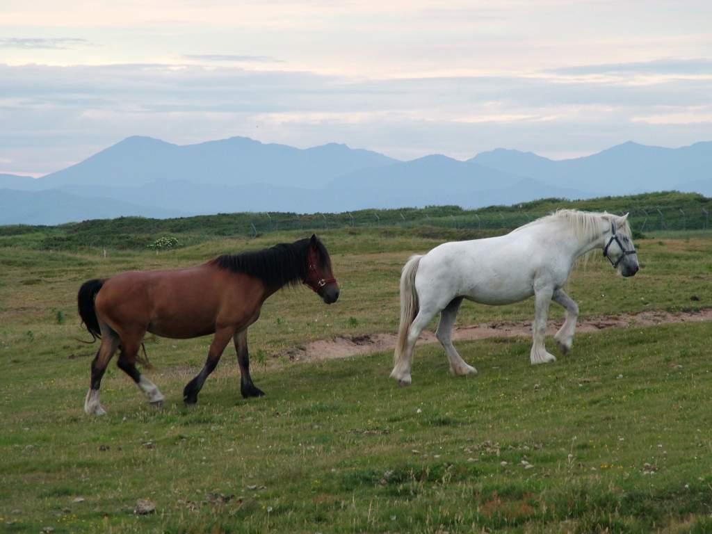 Click now to see this image full size.