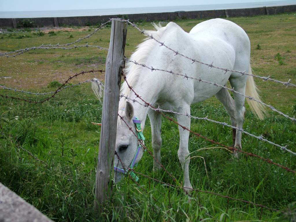 Click now to see this image full size.