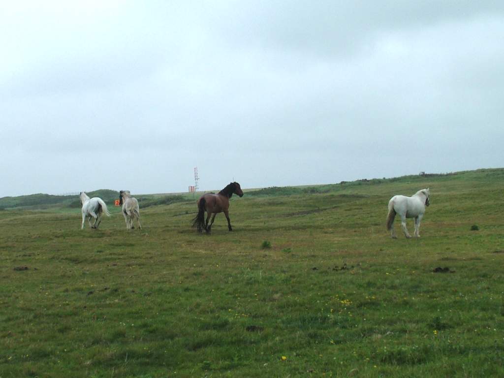 Click now to see this image full size.