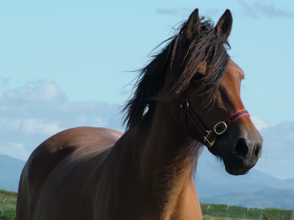 Click now to see this image full size.