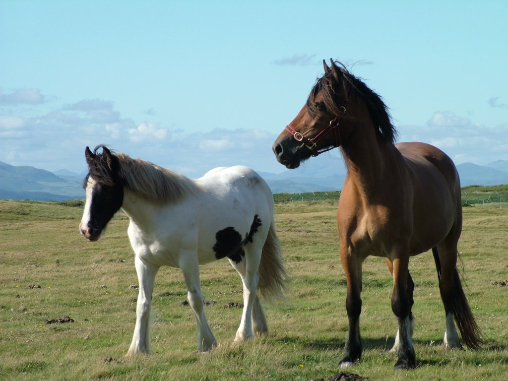 Click now to see this image full size.