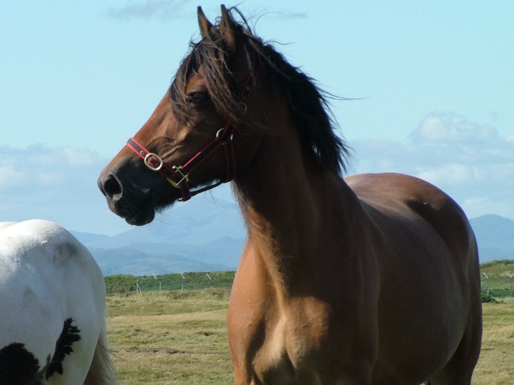 Click now to see this image full size.