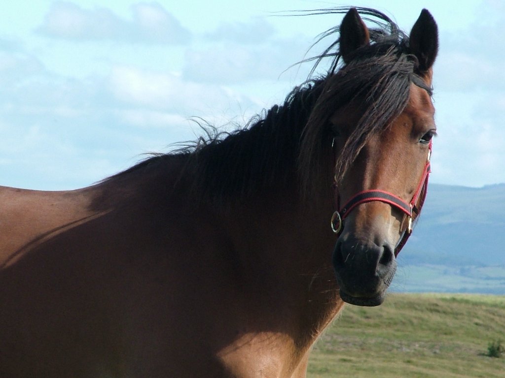 Click now to see this image full size.