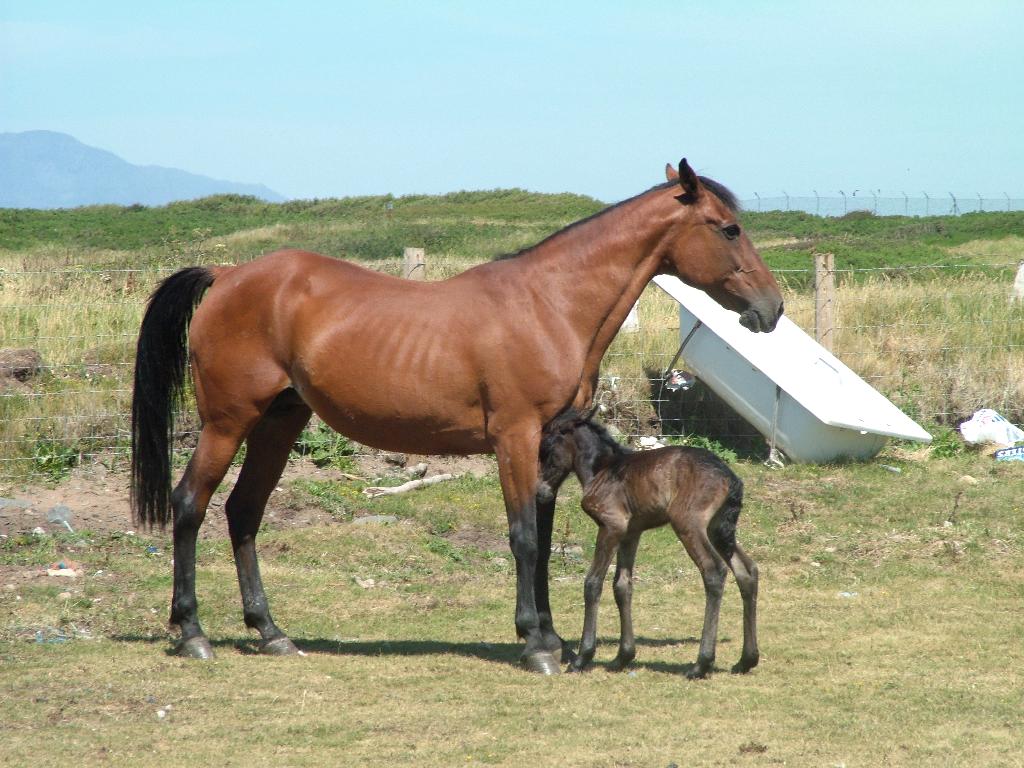 Click now to see this image full size.