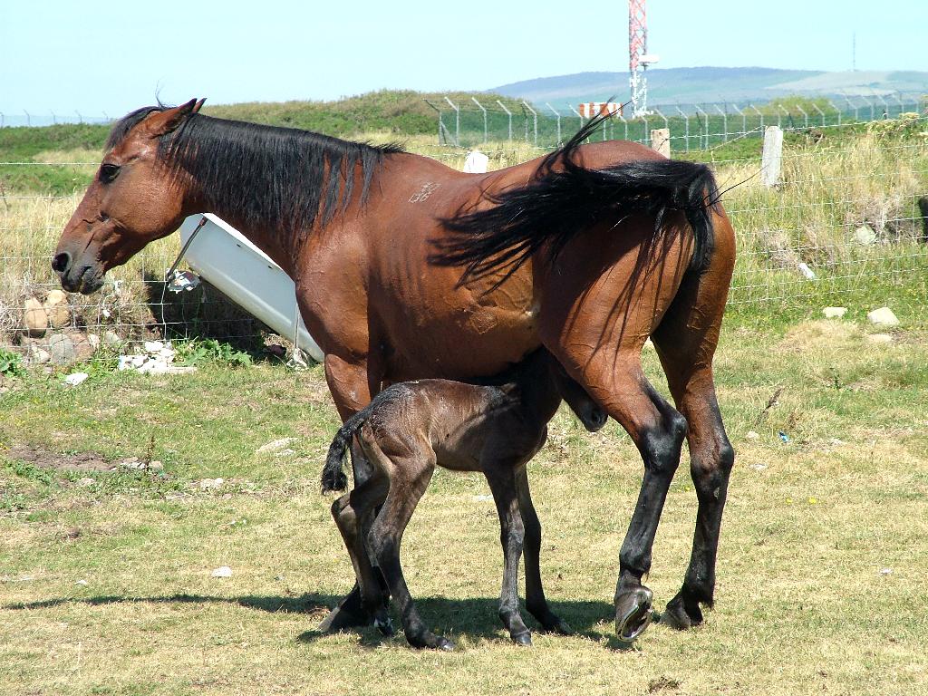 Click now to see this image full size.