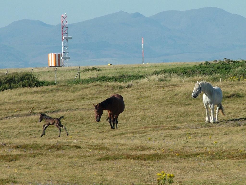 Click now to see this image full size.