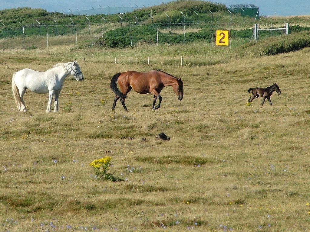 Click now to see this image full size.