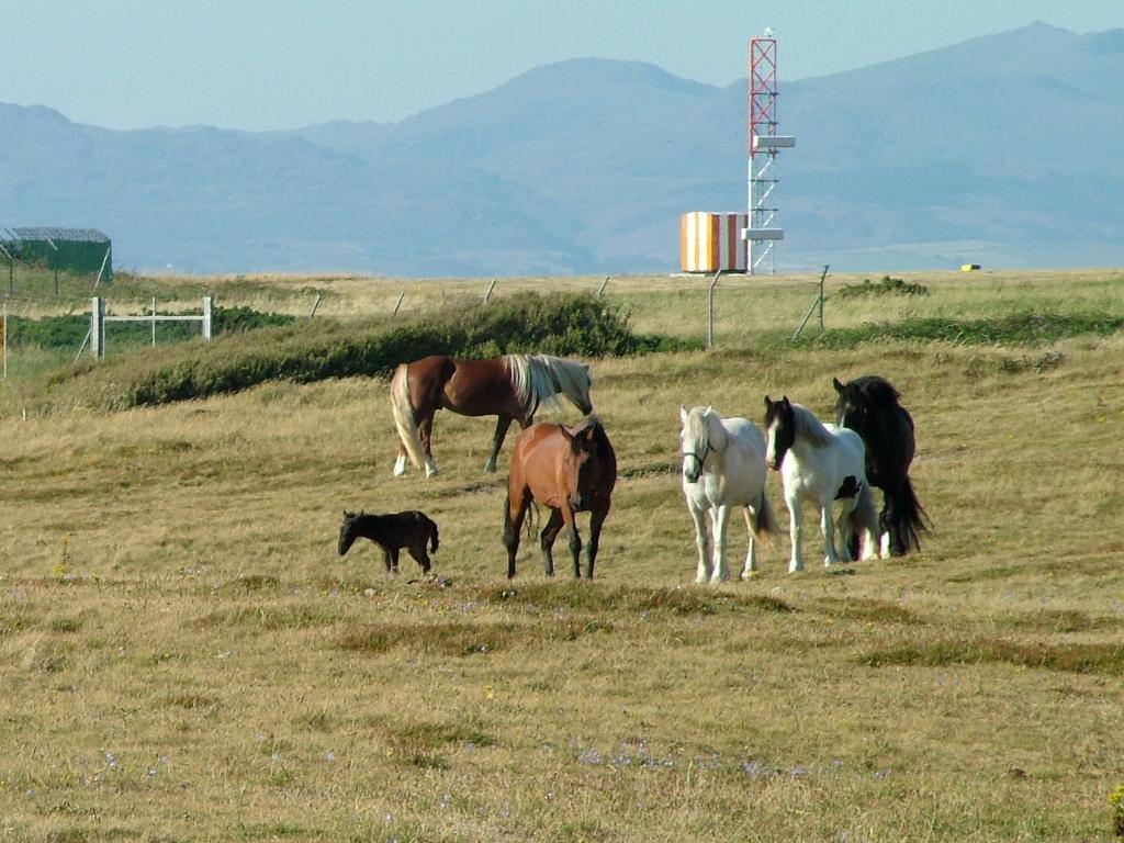 Click now to see this image full size.