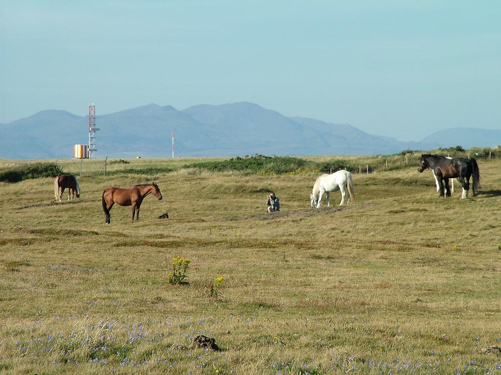 Click now to see this image full size.