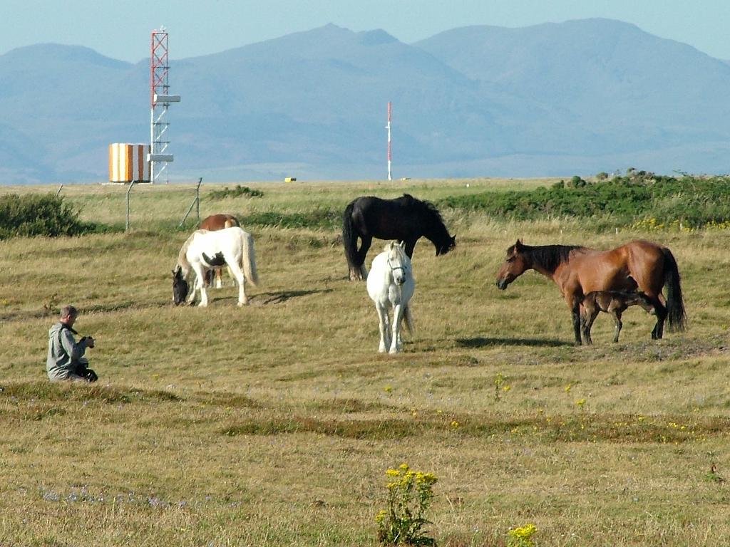 Click now to see this image full size.