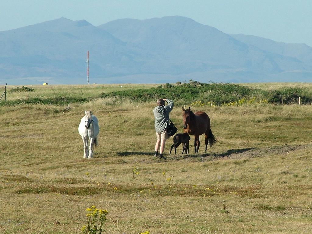 Click now to see this image full size.