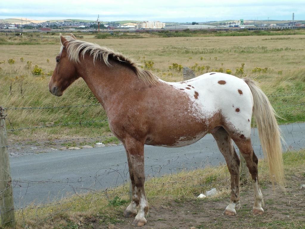 Click now to see this image full size.