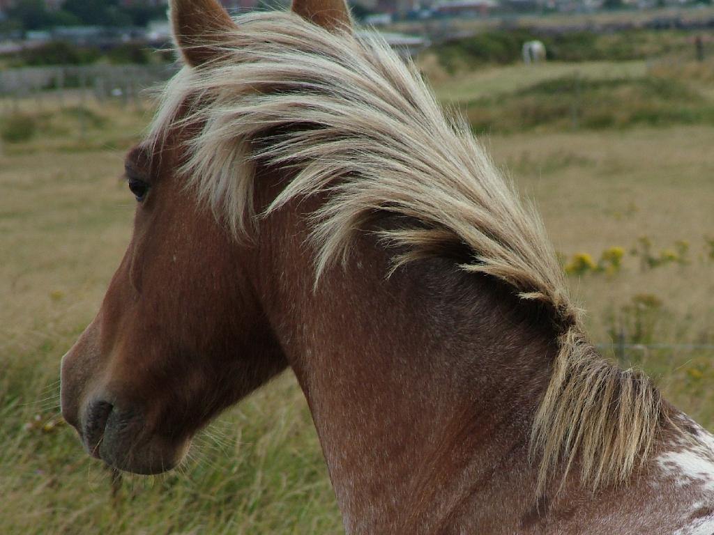 Click now to see this image full size.