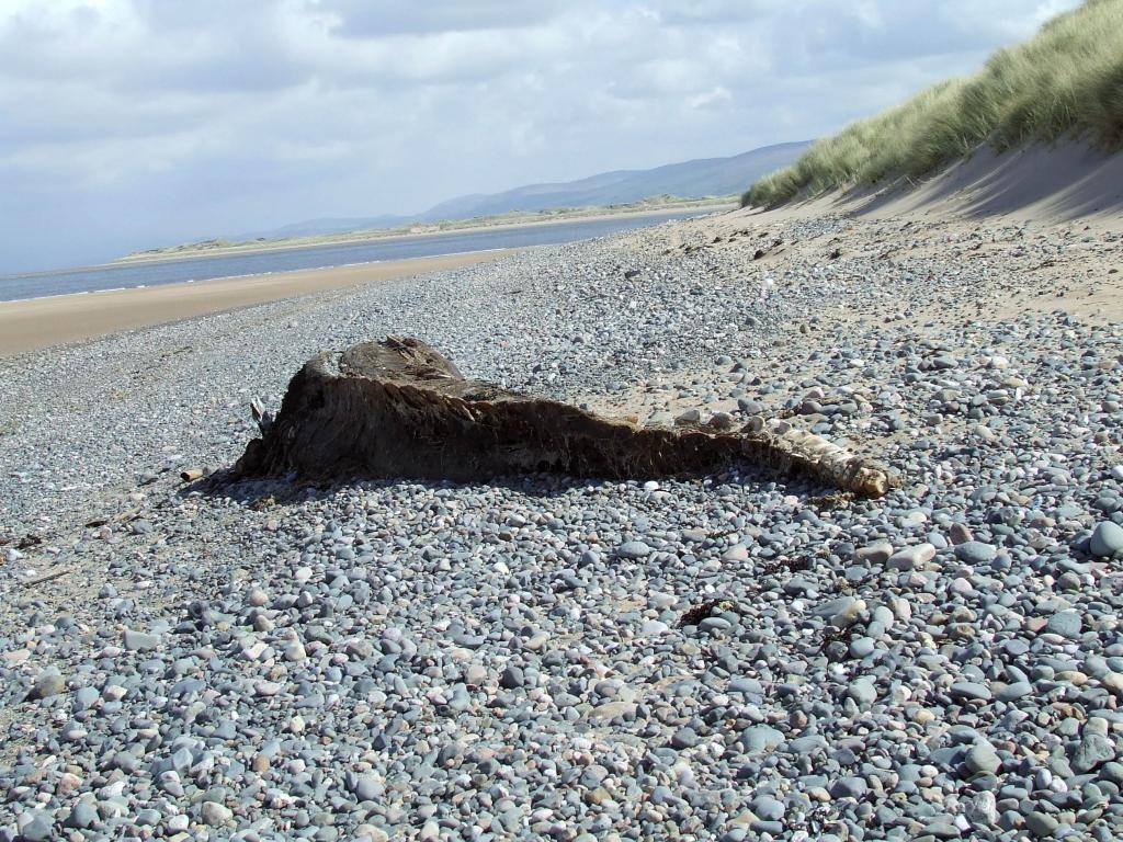 Click now to see this image full size.