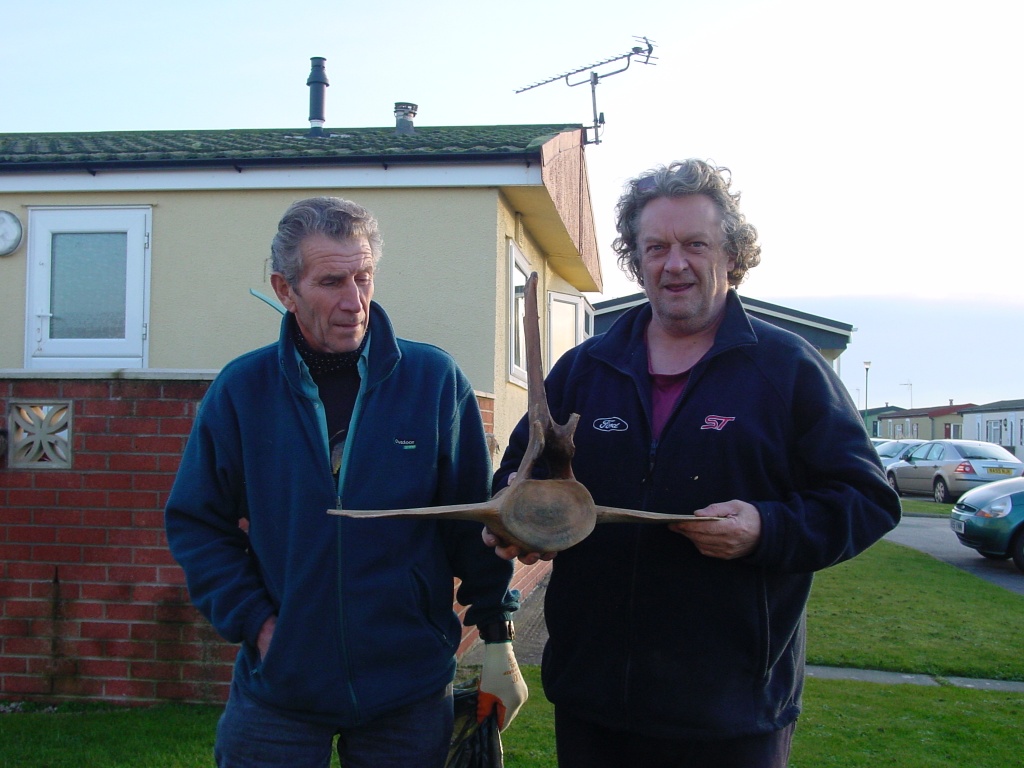 Click now to see this image full size.