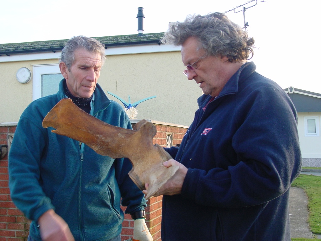 Click now to see this image full size.