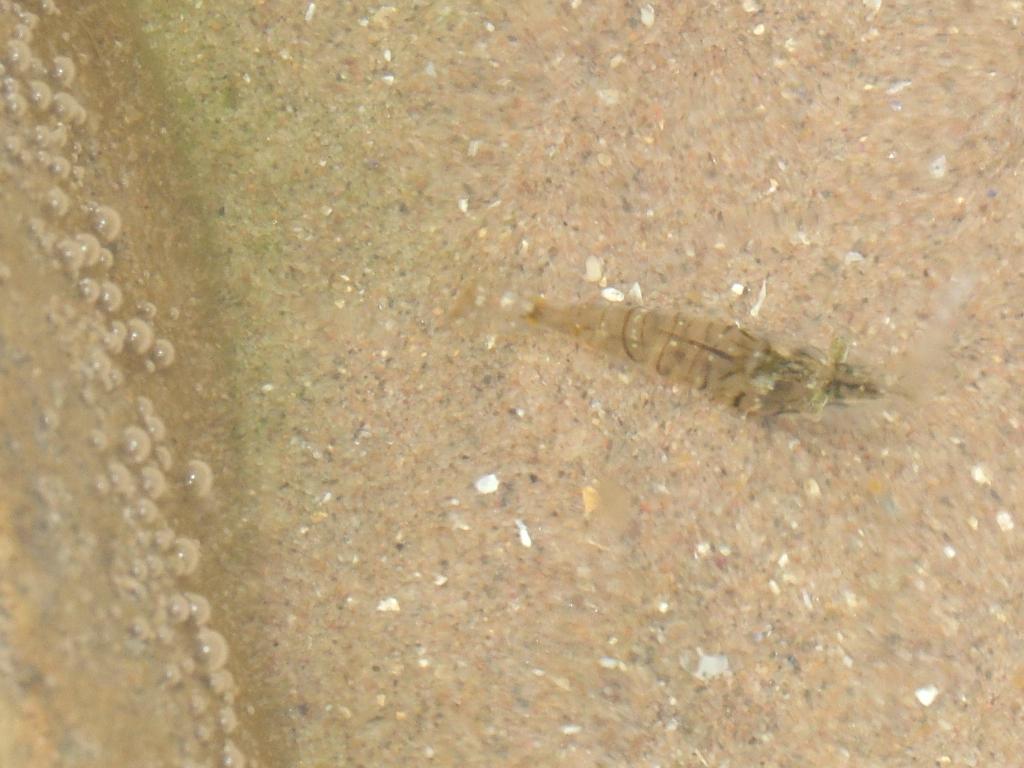 Click now to see this image full size.