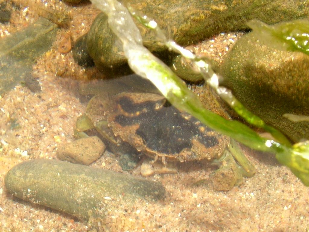 Click now to see this image full size.