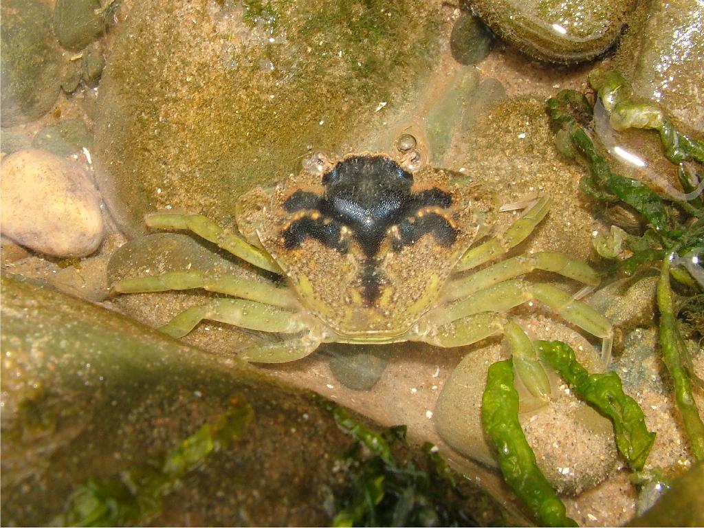 Click now to see this image full size.