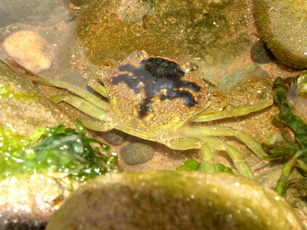 Click now to see this image full size.