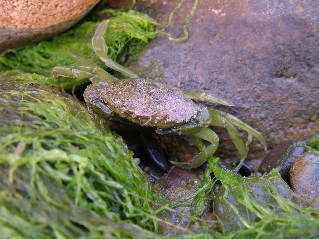 Click now to see this image full size.