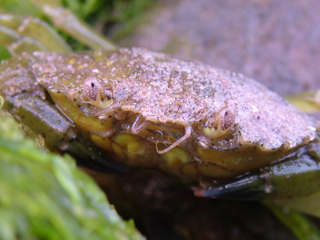 Click now to see this image full size.